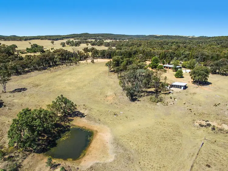 Fifth view of Homely rural property listing, 1828 Spring Ridge Road, Mudgee NSW 2850