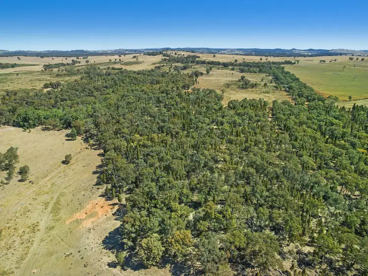 Third view of Homely rural property listing, 1612 Spring Ridge Road, Mudgee NSW 2850