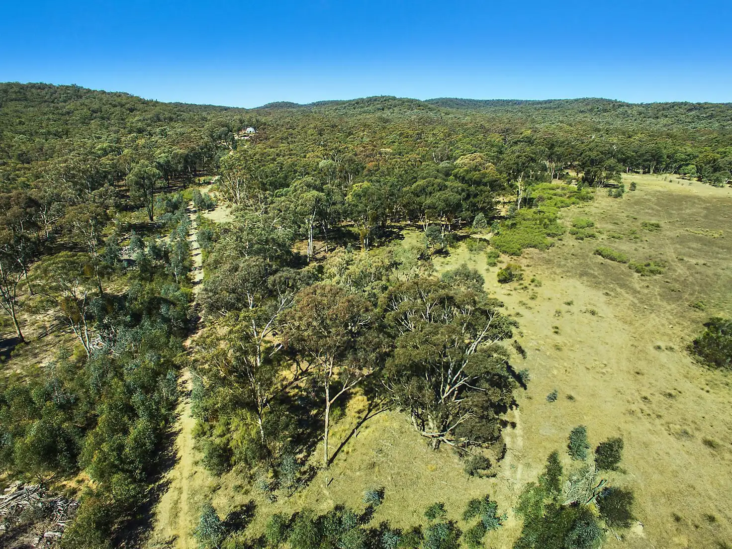 Main view of Homely rural property listing, 1033 Laheys Creek Road, Mudgee NSW 2850