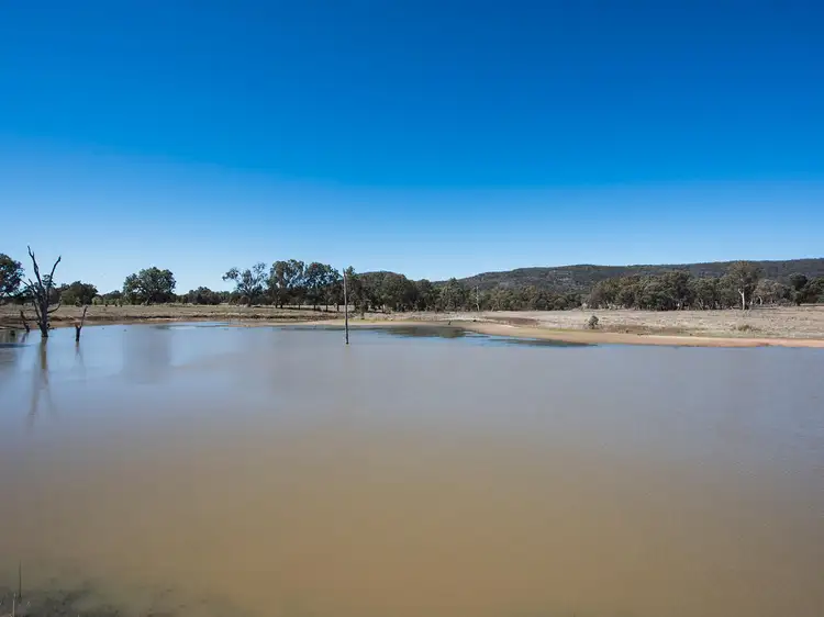 Seventh view of Homely rural property listing, 584 Yarrawonga Road, Mudgee NSW 2850