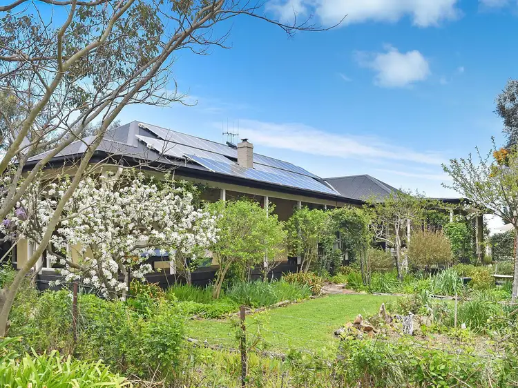 52 Wells Place, Bellmount Forest NSW 2581