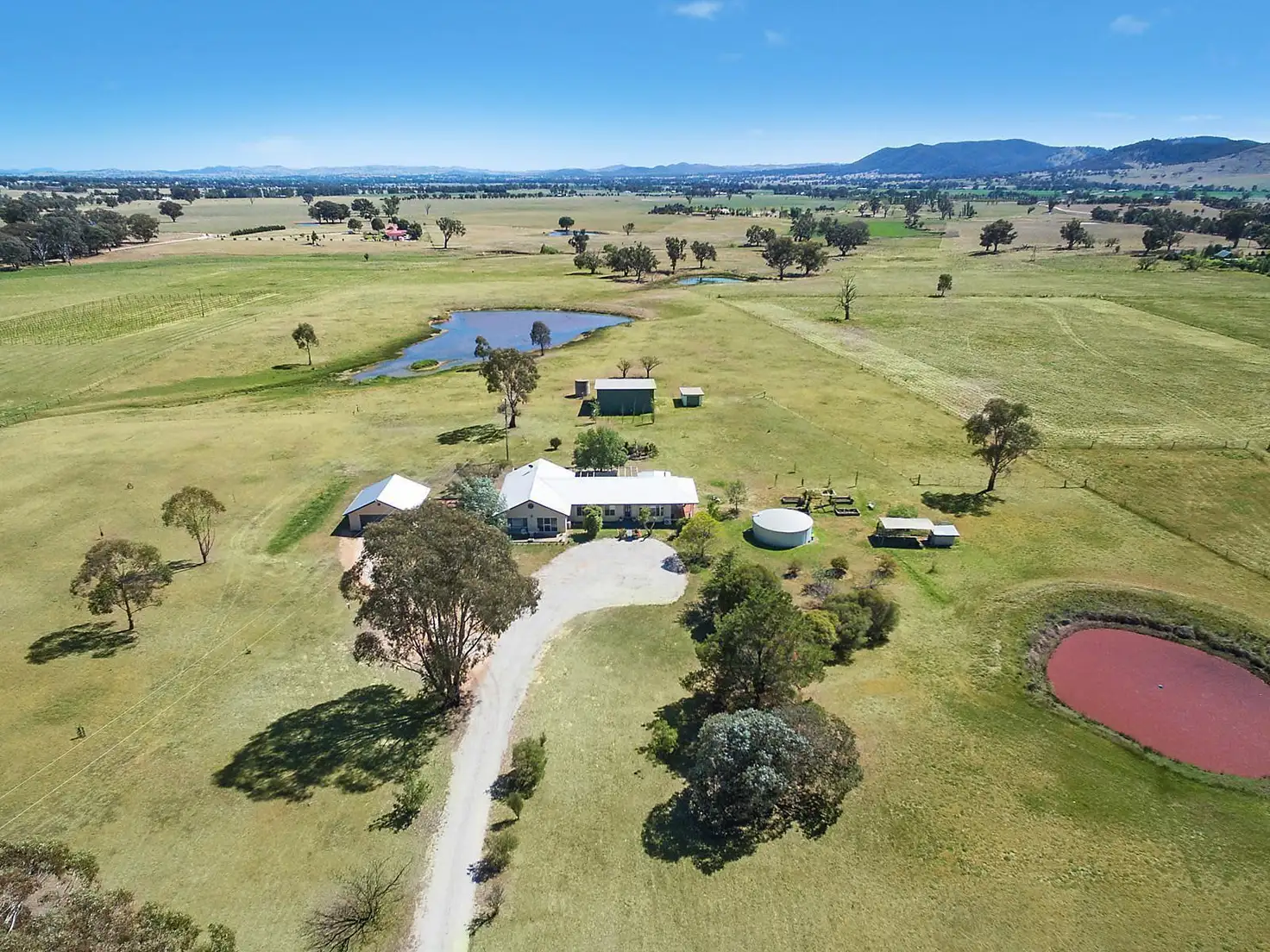 Main view of Homely rural property listing, 39 Wallinga Lane, Mudgee NSW 2850