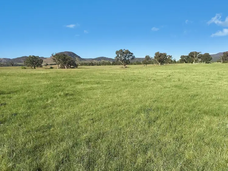 Fifth view of Homely rural property listing, 39 Wallinga Lane, Mudgee NSW 2850