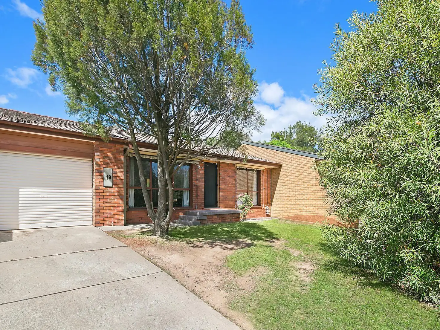 Main view of Homely townhouse listing, 19 Macfarlan Place, Latham ACT 2615