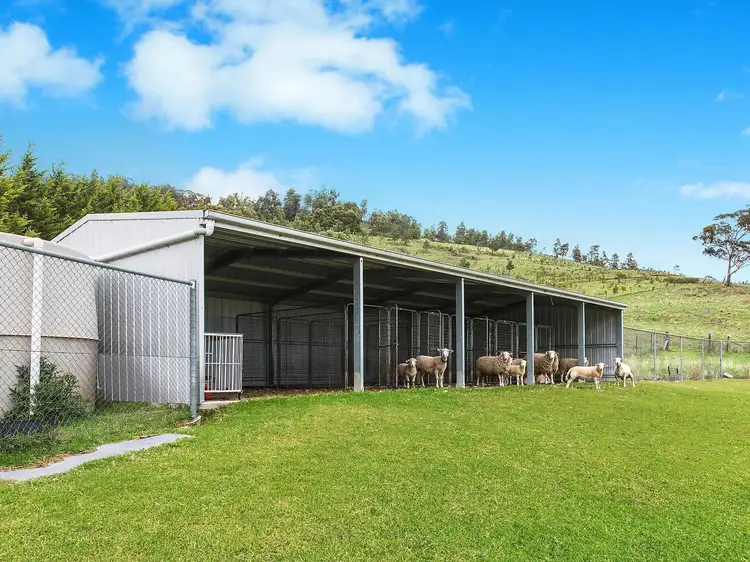 Fifth view of Homely rural property listing, 6503 Castlereagh Highway, Mudgee NSW 2850