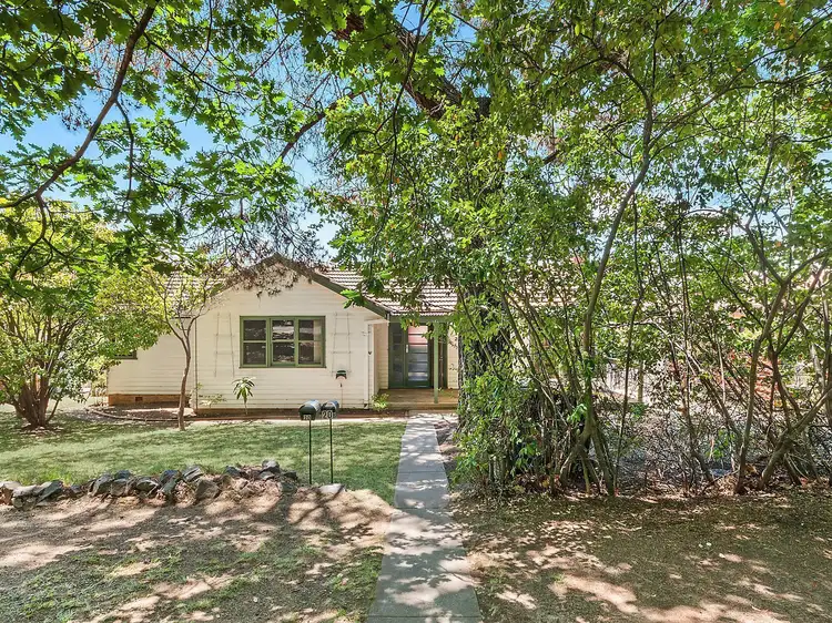Main view of Homely house listing, 20 Quandong Street, O'connor ACT 2602
