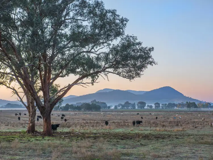 Lot 12 Bombira Estate, Mudgee NSW 2850
