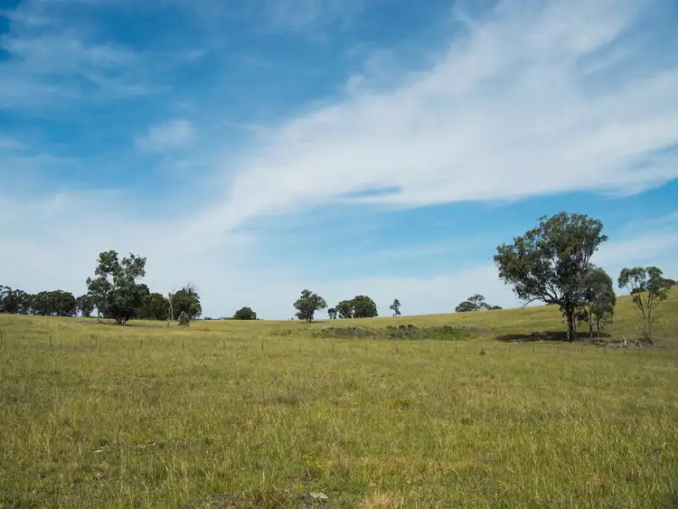 Fourth view of Homely rural property listing, 1934 Spring Ridge Road, Mudgee NSW 2850