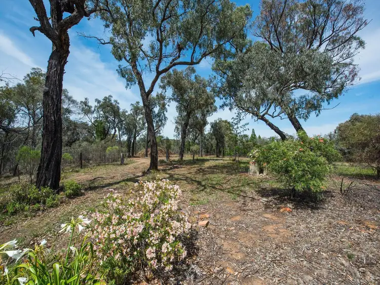 Sixth view of Homely rural property listing, 1934 Spring Ridge Road, Mudgee NSW 2850