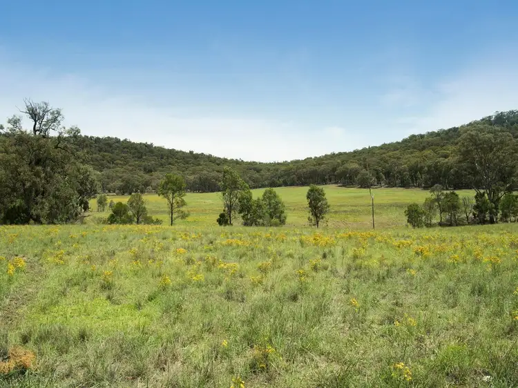 Main view of Homely rural property listing, 2626 "Timberlight" Sandy Creek Road, Mudgee NSW 2850