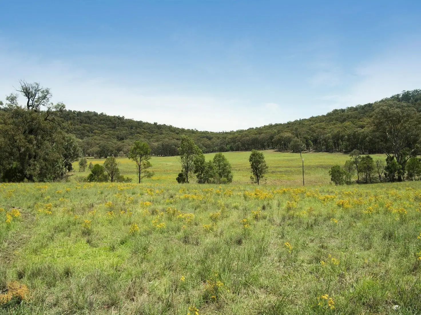 Main view of Homely rural property listing, 2626 "Timberlight" Sandy Creek Road, Mudgee NSW 2850