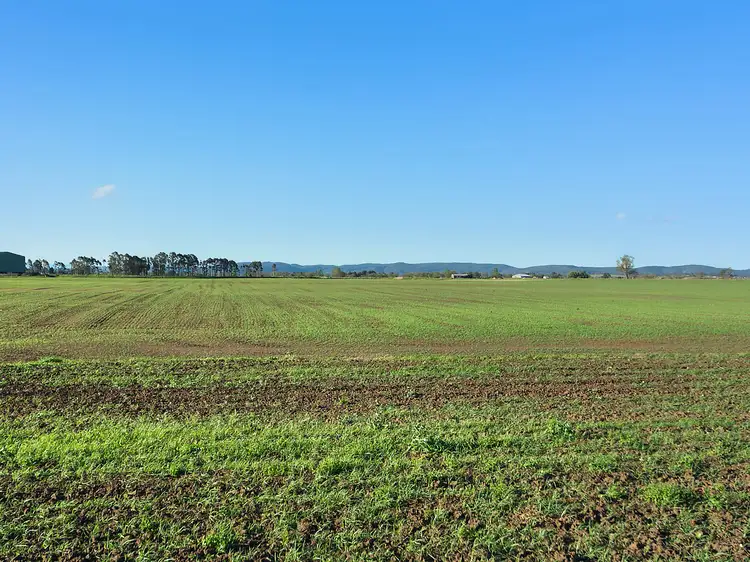Second view of Homely land listing, 166 Brush Farm Road, Raworth NSW 2321