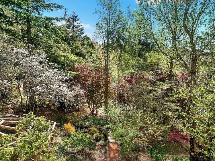 Fourth view of Homely house listing, 9 Angel Street, Wentworth Falls NSW 2782