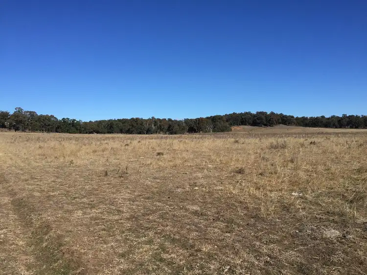 Second view of Homely rural property listing, 1654 Spring Ridge Road, Mudgee NSW 2850