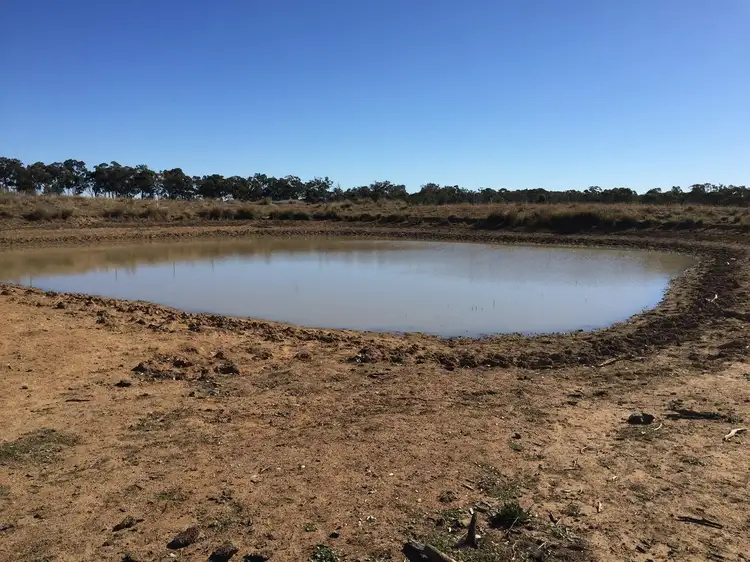 Third view of Homely rural property listing, 1654 Spring Ridge Road, Mudgee NSW 2850