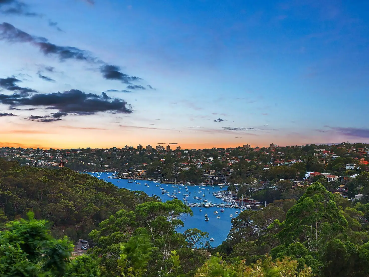 Main view of Homely house listing, 41A The Boulevarde, Cammeray NSW 2062