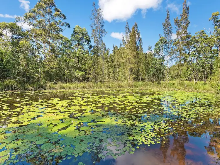 Fifth view of Homely house listing, 487 Lake Innes Drive, Lake Innes NSW 2446