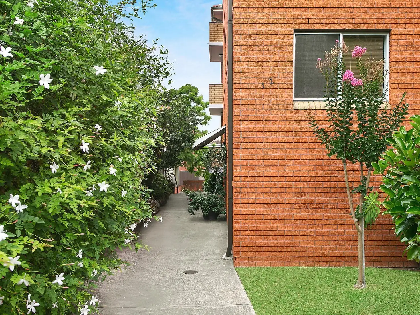 Main view of Homely apartment listing, 1/12 Keith Street, Dulwich Hill NSW 2203