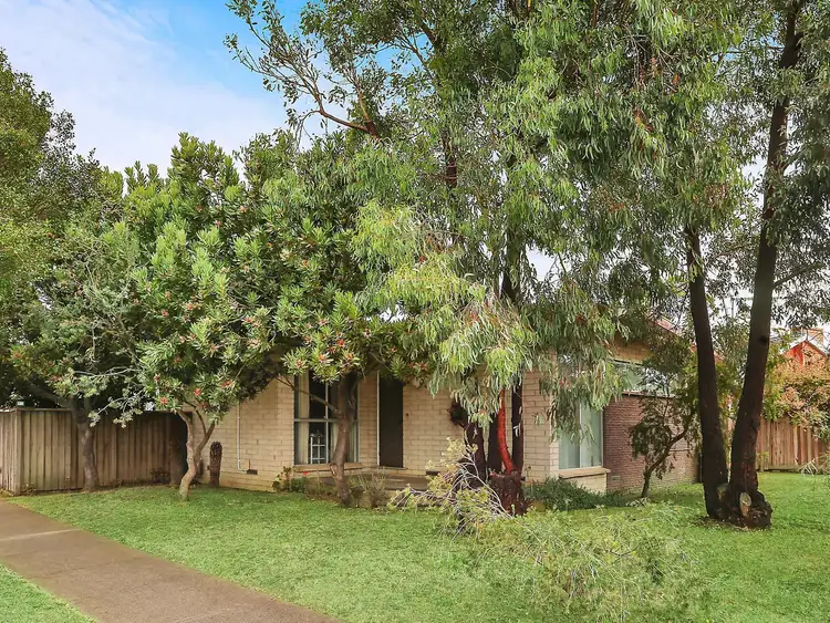 Second view of Homely house listing, 13 Francis Street, Mount Waverley VIC 3149