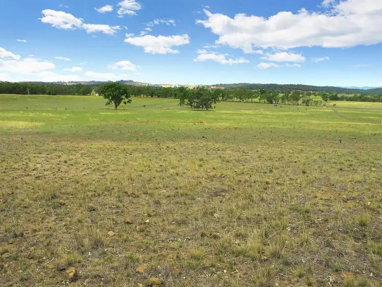 Main view of Homely rural property listing, 338 Blacksprings Road, Mudgee NSW 2850
