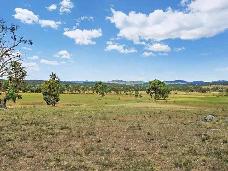 Fourth view of Homely rural property listing, 338 Blacksprings Road, Mudgee NSW 2850