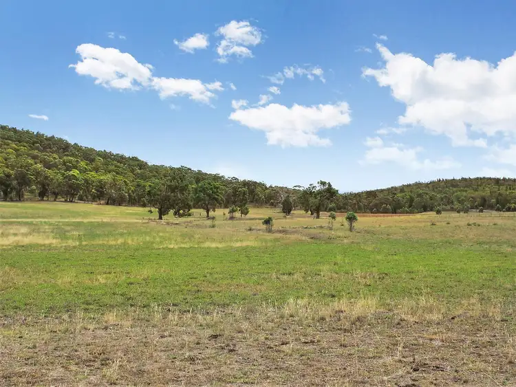 Fifth view of Homely rural property listing, 338 Blacksprings Road, Mudgee NSW 2850