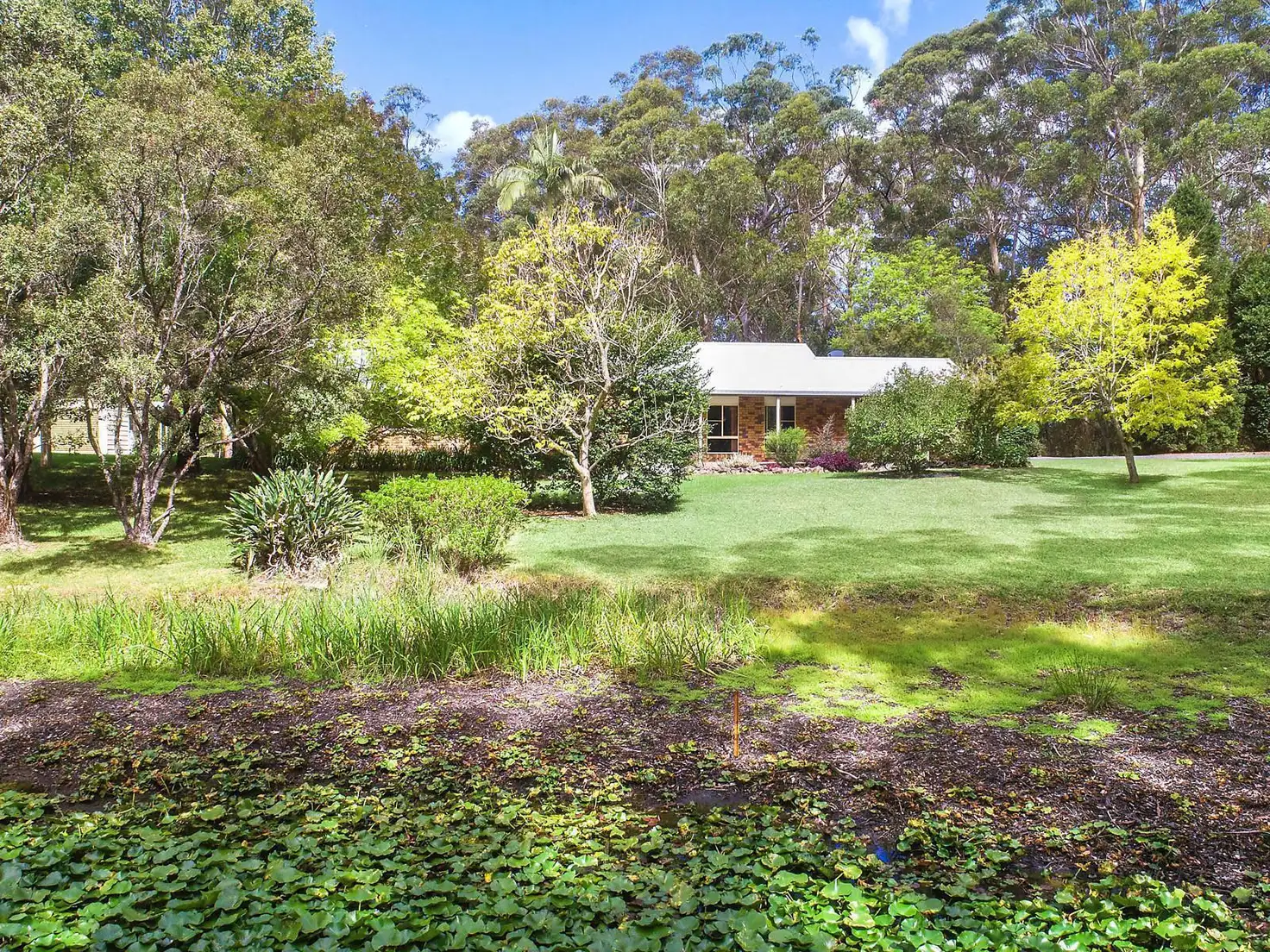 Main view of Homely rural property listing, 8 Reservoir Road, Ourimbah NSW 2258