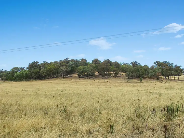 Fourth view of Homely rural property listing, 1766 Spring Ridge Road, Mudgee NSW 2850