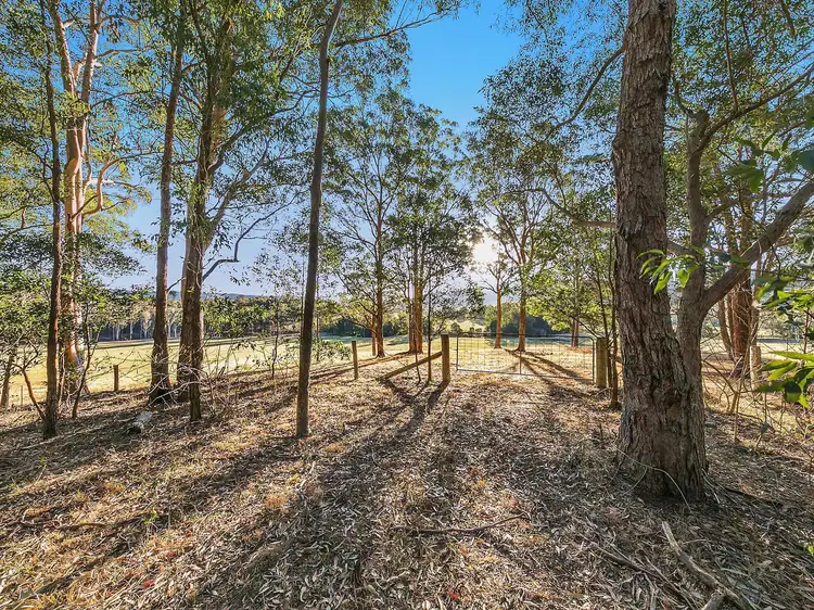 Second view of Homely rural property listing, Lot 153 Mount View Road, Millfield NSW 2325