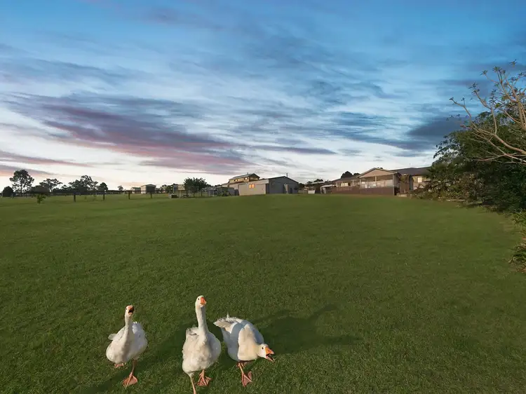 Third view of Homely house listing, 12 Sixth Avenue, Millfield NSW 2325