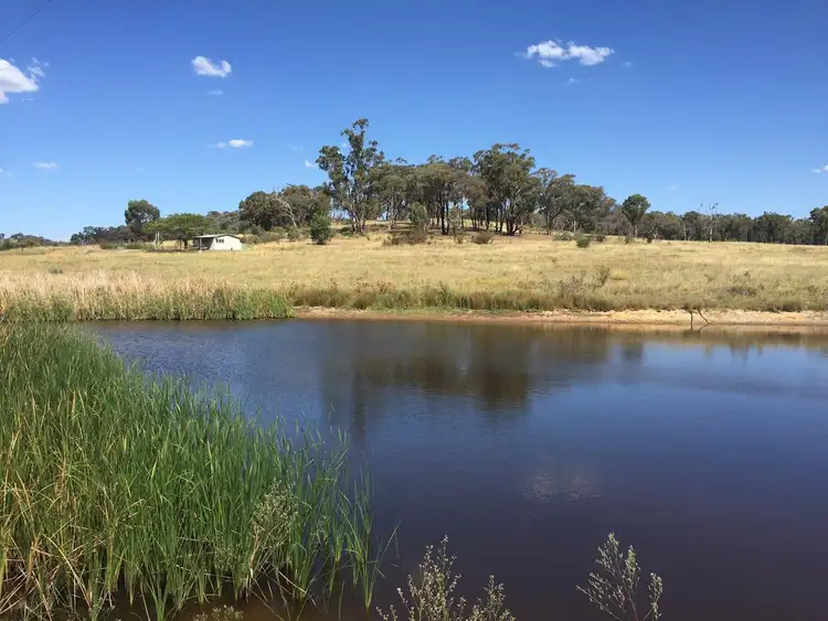 Fourth view of Homely rural property listing, 103 Wattlegrove Lane, Mudgee NSW 2850