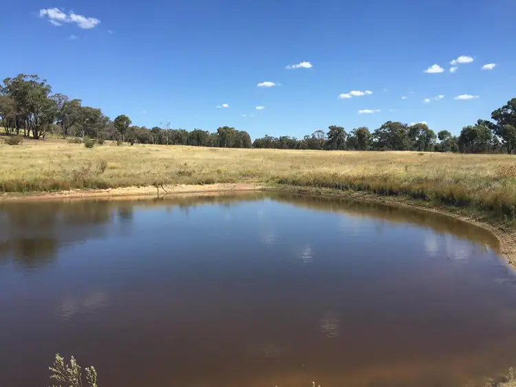 Fifth view of Homely rural property listing, 103 Wattlegrove Lane, Mudgee NSW 2850