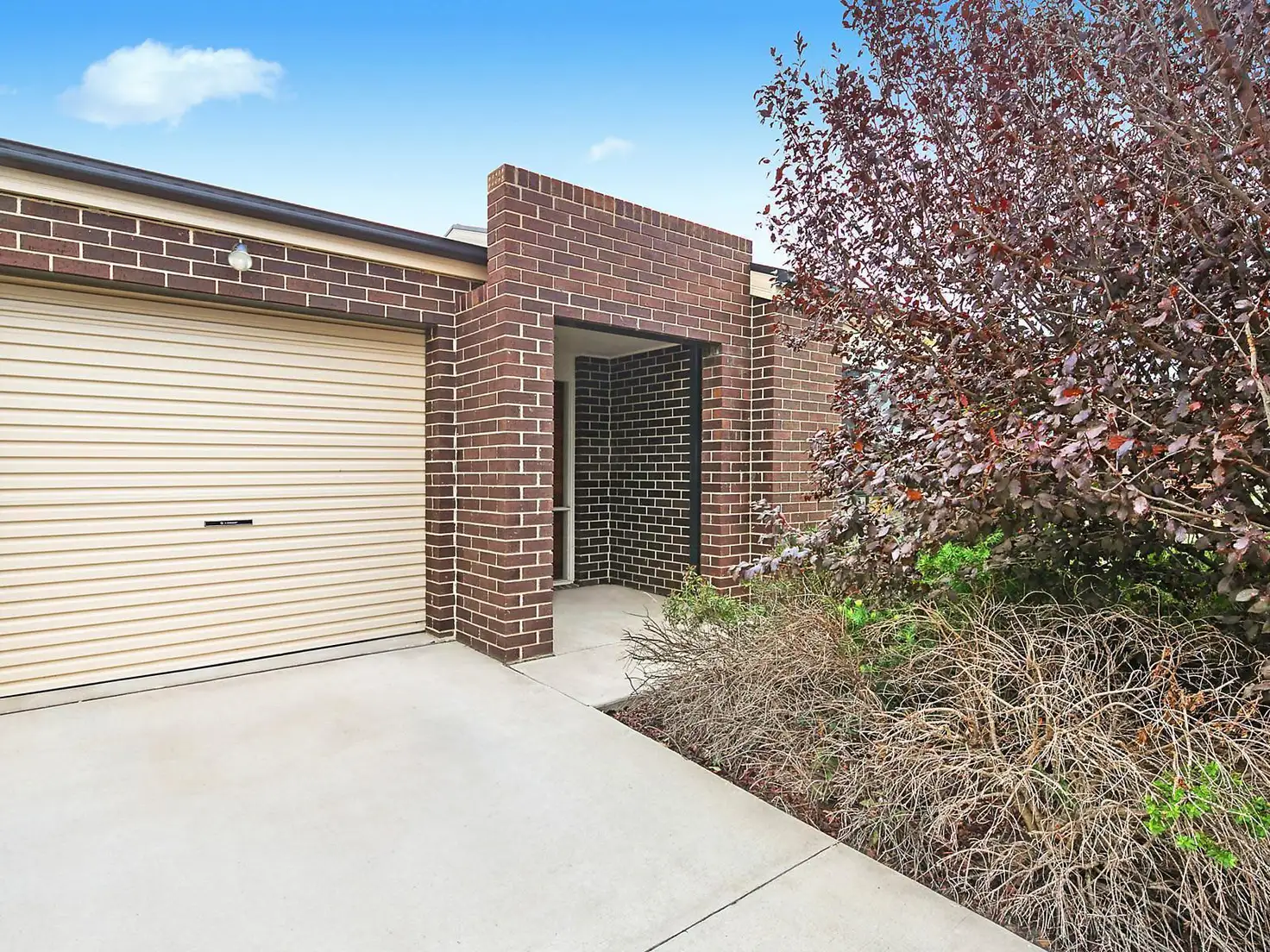 Main view of Homely townhouse listing, 23/18 Constance Stone Street, Macgregor ACT 2615