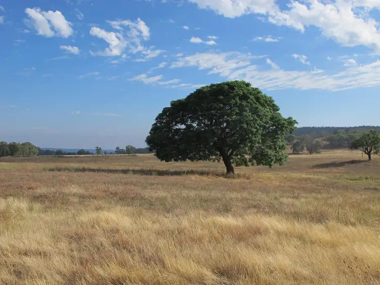 Main view of Homely rural property listing, 3048 Ulan Road, Mudgee NSW 2850