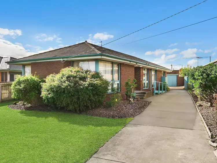 42 Pavo Street, Belmont VIC 3216