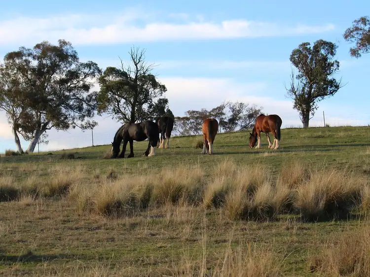 Main view of Homely land listing, Proposed Lot 2/840 Marked Tree Road, Gundaroo NSW 2620