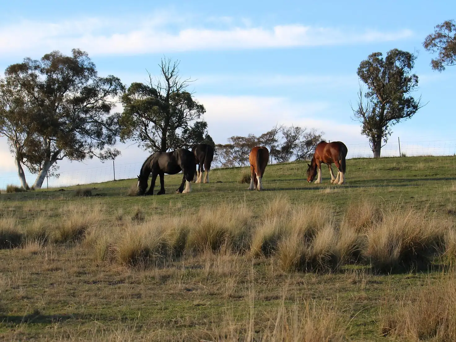Main view of Homely land listing, Proposed Lot 2/840 Marked Tree Road, Gundaroo NSW 2620
