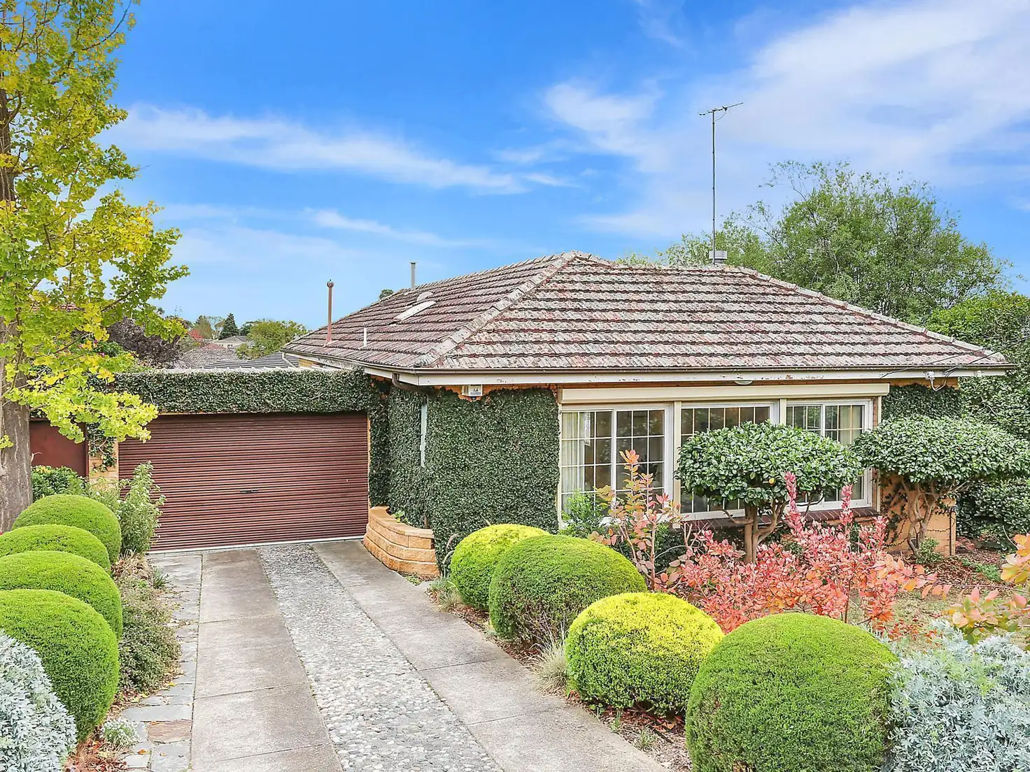 Main view of Homely house listing, 11 Coronation Street, Mount Waverley VIC 3149