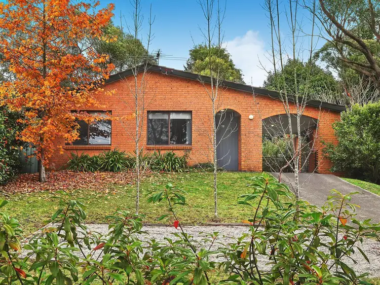12 David Street, Wentworth Falls NSW 2782