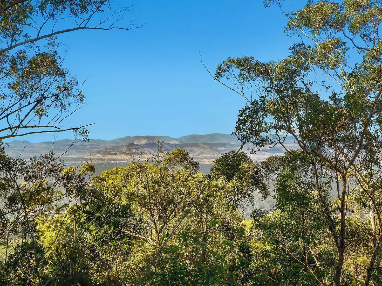 Main view of Homely land listing, Lot 11 Fernbank Road, Cabarlah QLD 4352