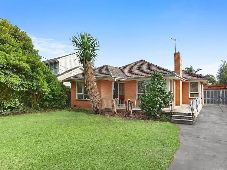 Main view of Homely house listing, 428 Springvale Road, Forest Hill VIC 3131