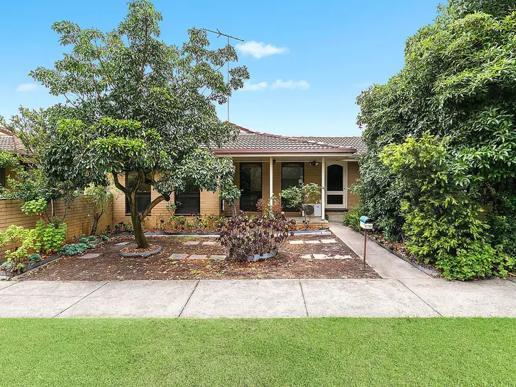 2/141 Barrabool Road, Highton VIC 3216