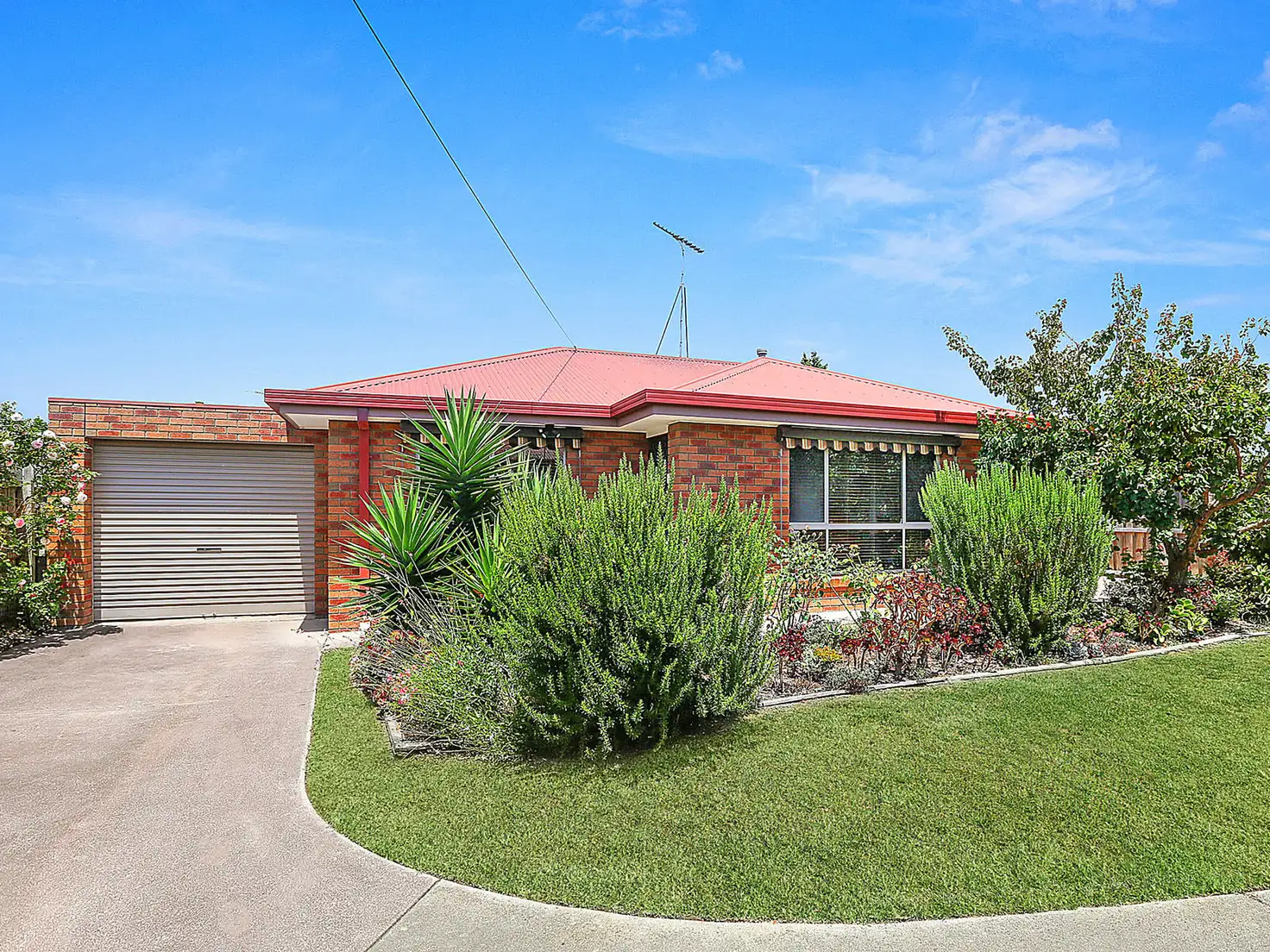 Main view of Homely unit listing, 2/14 Oxford Street, Whittington VIC 3219