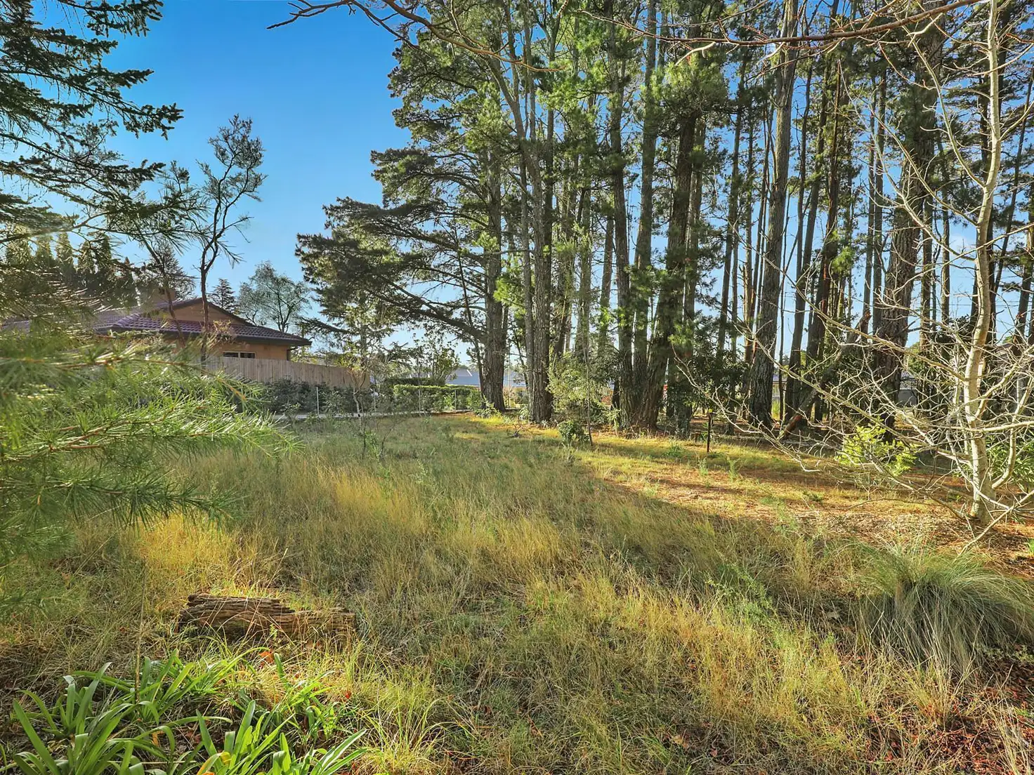 Main view of Homely land listing, 68 Waratah Road, Wentworth Falls NSW 2782