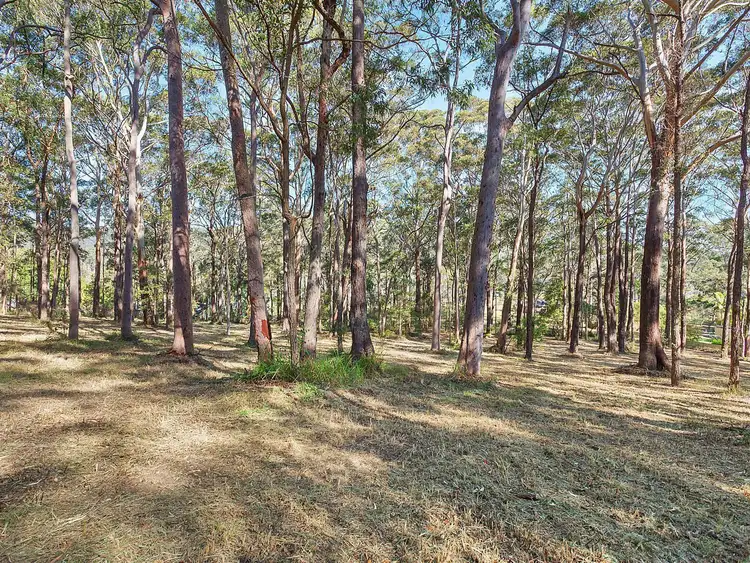Fifth view of Homely house listing, 10 Yowie Close, Bensville NSW 2251