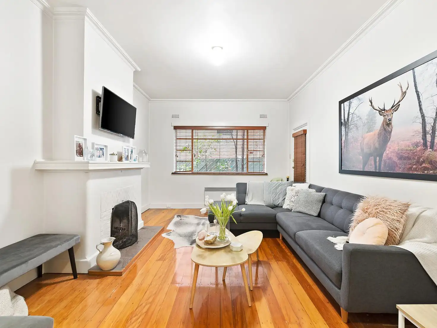Main view of Homely apartment listing, 17/145 Fitzroy Street, St Kilda VIC 3182