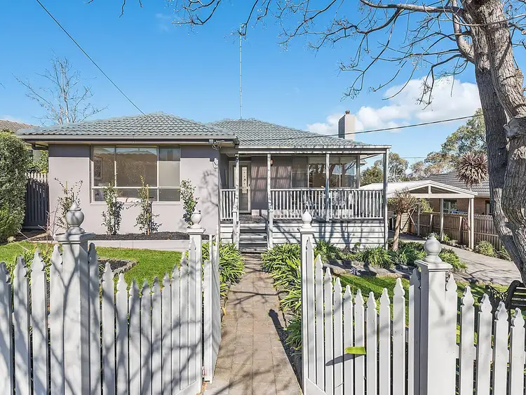 31 Helena Street, Belmont VIC 3216