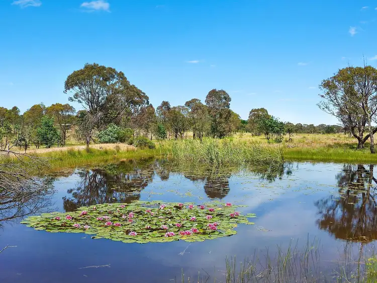 Second view of Homely land listing, 1490 Federal Highway Service Road, Sutton NSW 2620
