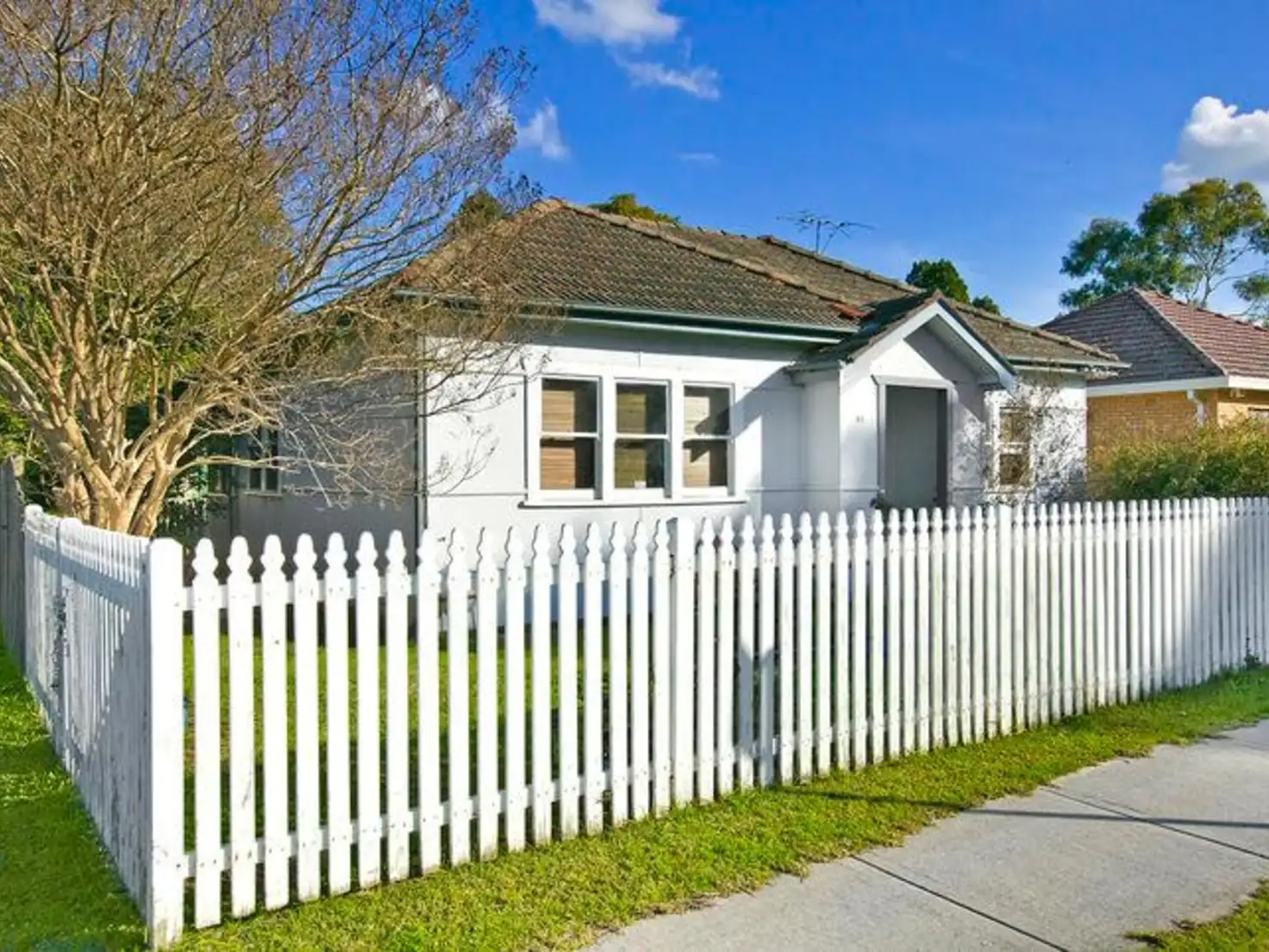 Main view of Homely house listing, 49 Harold Street, North Parramatta NSW 2151