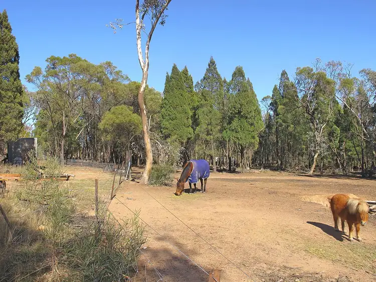 Fifth view of Homely rural property listing, 304 Cypress Drive, Mudgee NSW 2850